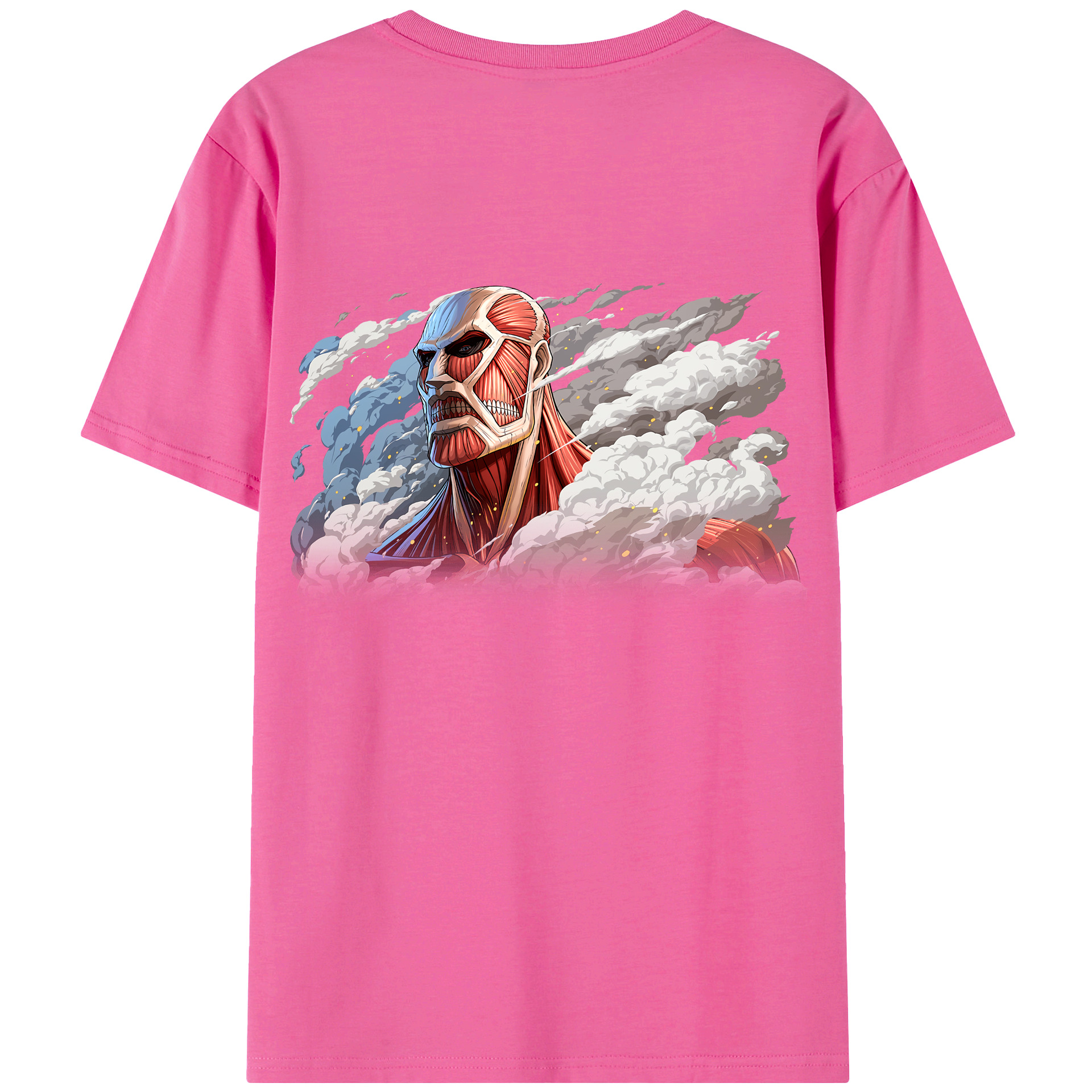 （画像用） 進撃の巨人 Attack on Titan レディース半袖Tシャツ(バックプリント)